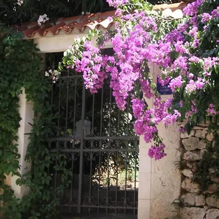 Дом отдыха House Davor