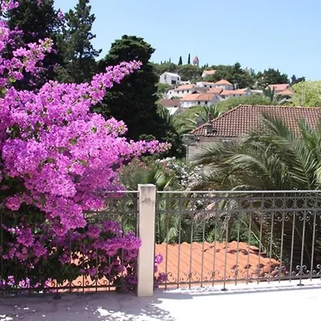 House Davor * Сутиван